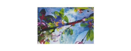 Pipilotti Rist &ndash; Du wirst sorglos sein