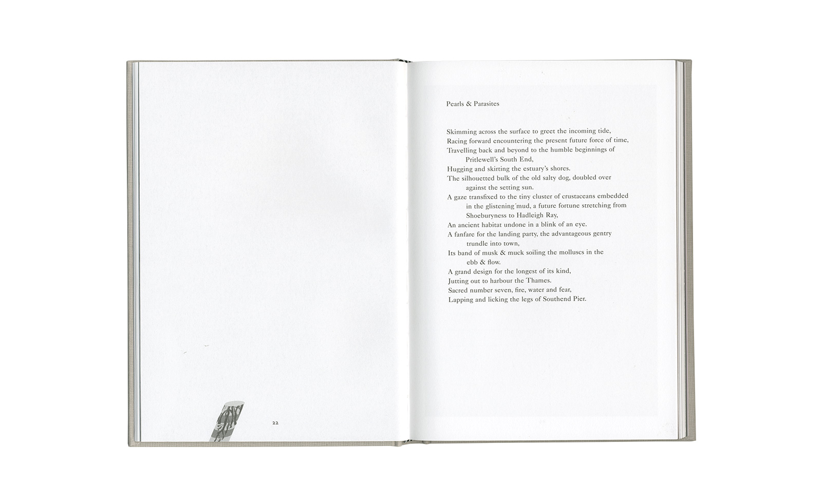 Rick Buckley &ndash; Black Bile 84