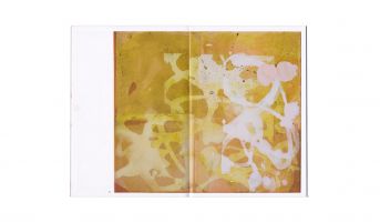 Thomas Bechinger &ndash; watching paint dry