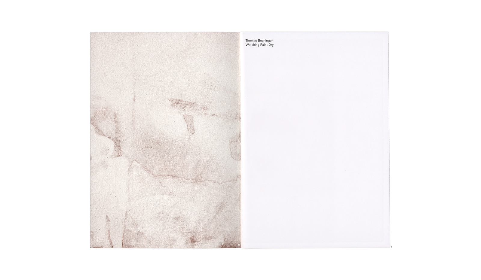 Thomas Bechinger &ndash; watching paint dry