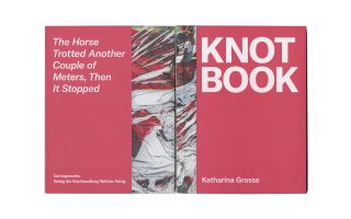 Katharina Grosse &ndash; Knot Book