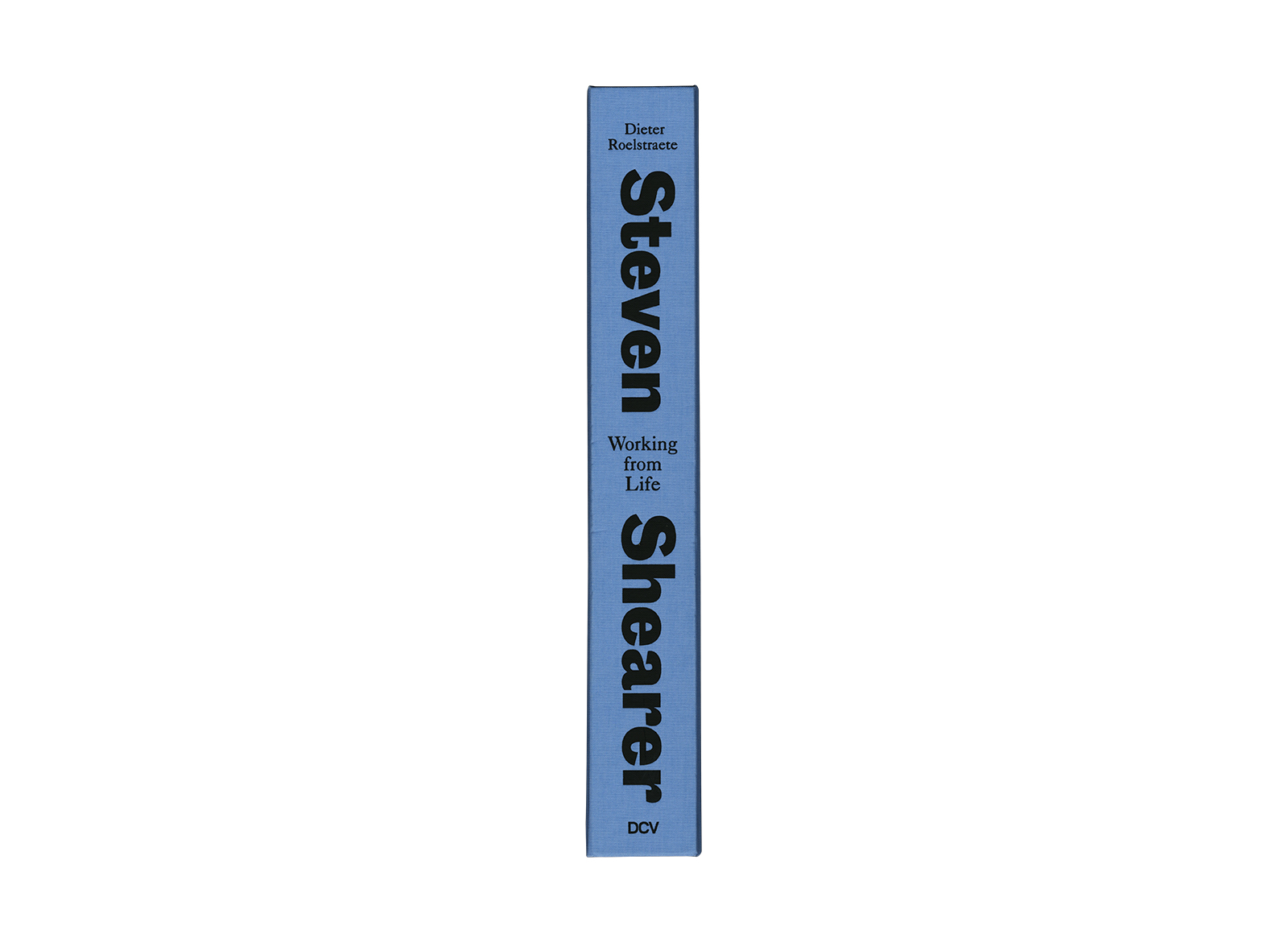 Steven Shearer &ndash; Working from Life