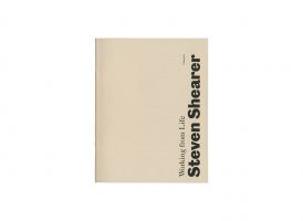 Steven Shearer &ndash; Working from Life