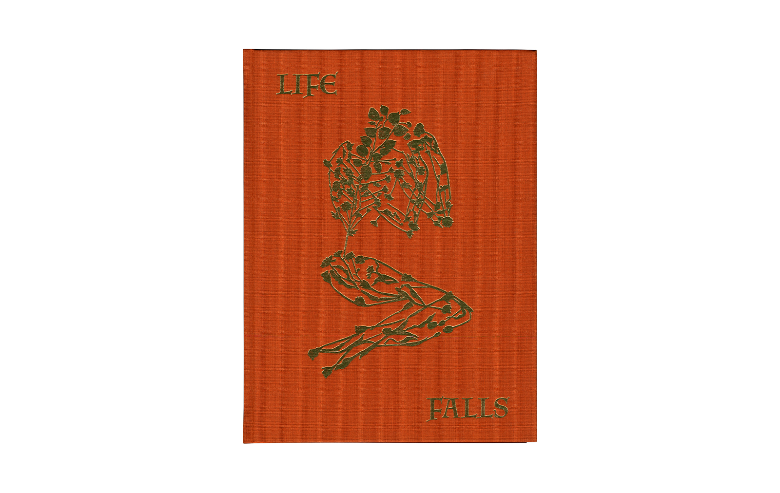 Sam Falls &ndash; After Life