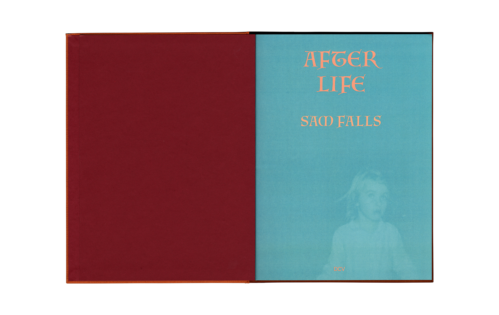 Sam Falls &ndash; After Life