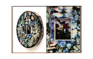 Sam Falls &ndash; After Life