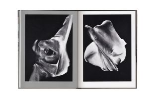 Francesca Mart&iacute; &ndash; Passage And Presence