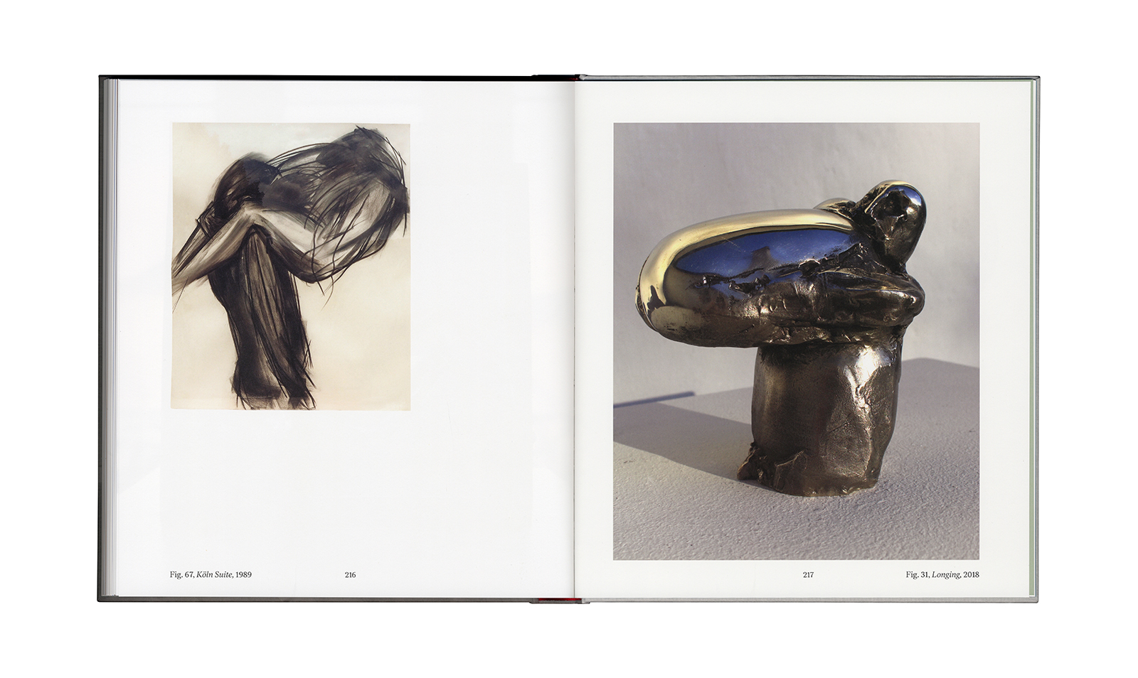 Ann Wolff &ndash; Observations And Reflections