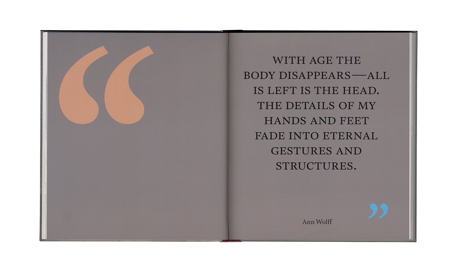 Ann Wolff &ndash; Observations And Reflections