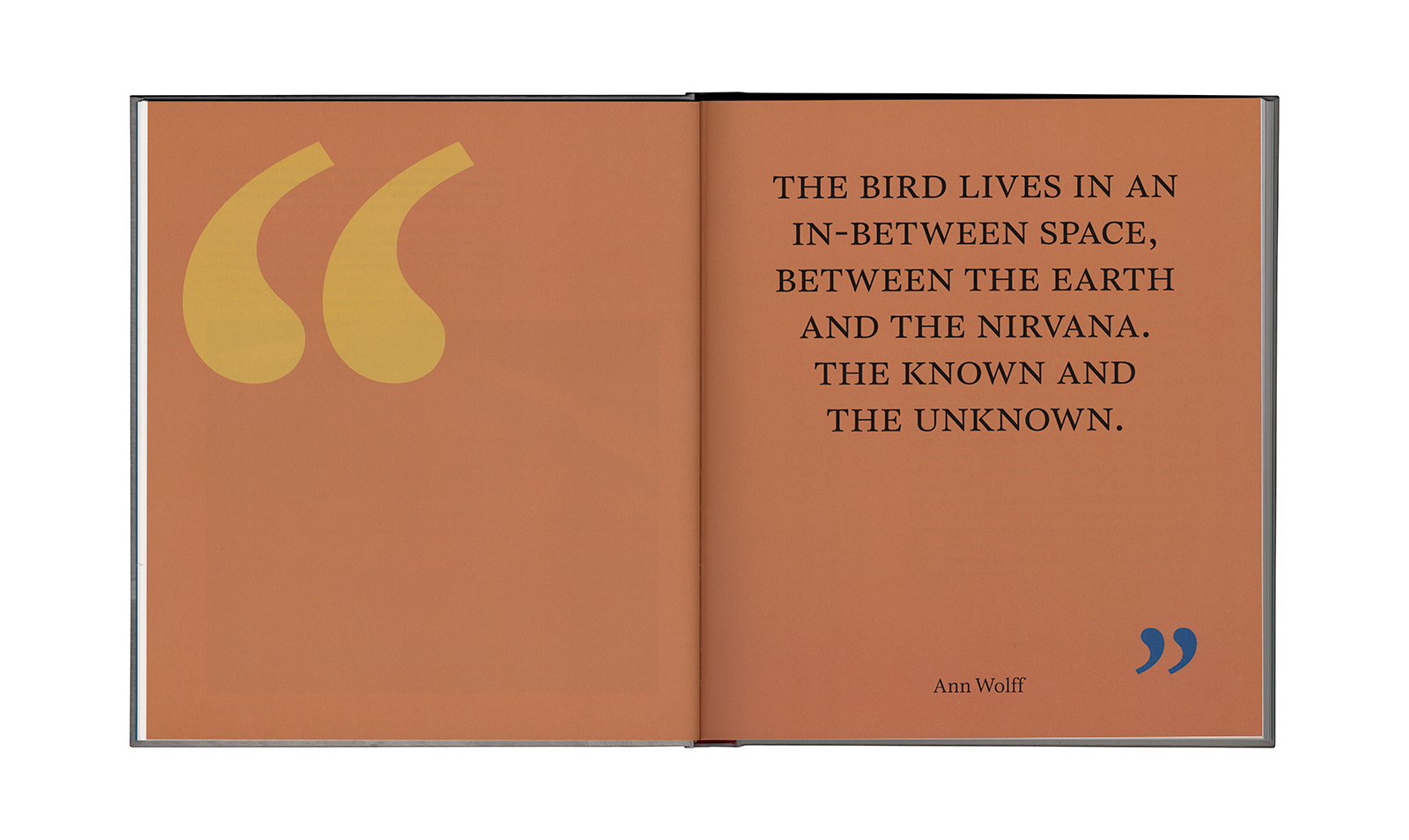 Ann Wolff &ndash; Observations And Reflections